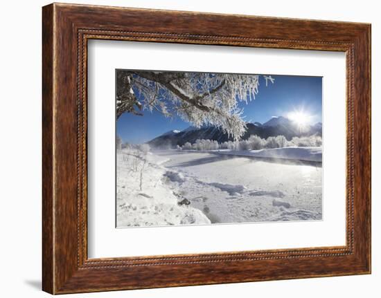 Frost on trees frame the snowy landscape and frozen river, Inn, Celerina, Maloja, Canton of Graubun-Roberto Moiola-Framed Photographic Print