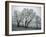 Frost on Trees on Farmland in Winter-Hodson Jonathan-Framed Photographic Print