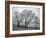 Frost on Trees on Farmland in Winter-Hodson Jonathan-Framed Photographic Print