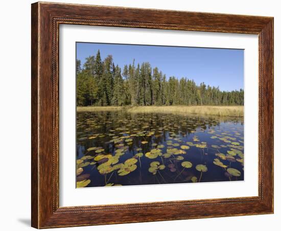 Frost River, Boundary Waters Canoe Area Wilderness, Superior National Forest, Minnesota, USA-Gary Cook-Framed Photographic Print