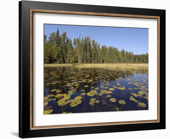 Frost River, Boundary Waters Canoe Area Wilderness, Superior National Forest, Minnesota, USA-Gary Cook-Framed Photographic Print