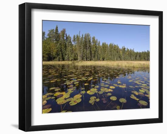 Frost River, Boundary Waters Canoe Area Wilderness, Superior National Forest, Minnesota, USA-Gary Cook-Framed Photographic Print