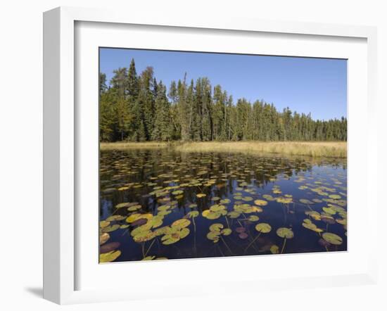 Frost River, Boundary Waters Canoe Area Wilderness, Superior National Forest, Minnesota, USA-Gary Cook-Framed Photographic Print