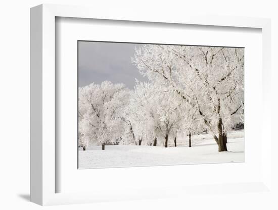 Frost-bcoulter-Framed Photographic Print