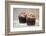 Frosted Chocolate Cupcakes on Rustic Wooden Background-Veneratio-Framed Photographic Print