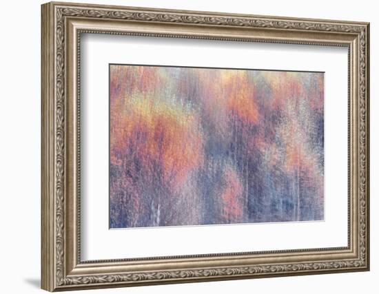 Frosted Fall-Doug Chinnery-Framed Photographic Print