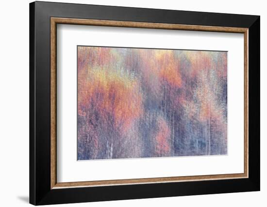 Frosted Fall-Doug Chinnery-Framed Photographic Print