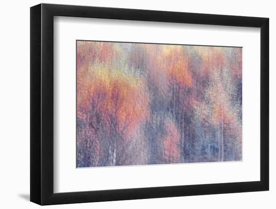 Frosted Fall-Doug Chinnery-Framed Photographic Print