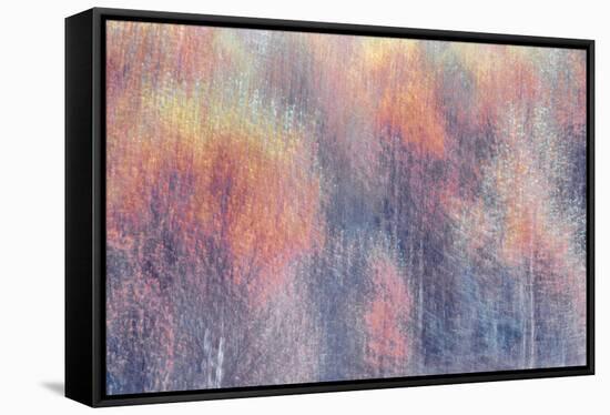 Frosted Fall-Doug Chinnery-Framed Stretched Canvas