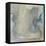 Frosted Glass III-Alicia Ludwig-Framed Stretched Canvas