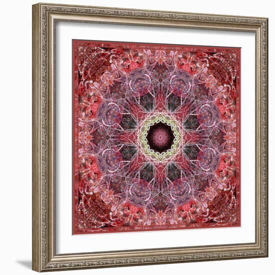 Frosted Leafes in the Forest Mandala Red Toned-Alaya Gadeh-Framed Photographic Print