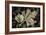 Frosted Leaves-David Lorenz Winston-Framed Art Print