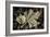 Frosted Leaves-David Lorenz Winston-Framed Art Print