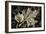 Frosted Leaves-David Lorenz Winston-Framed Art Print