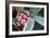 Frosted Skimmia-null-Framed Photographic Print