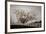 Frosted Tree and Fence-David Winston-Framed Giclee Print