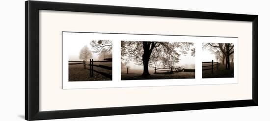 Frosted View-Harold Silverman-Framed Art Print