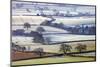 Frosted winter fields near Shobrooke, Devon, England. Winter (March) 2010.-Adam Burton-Mounted Photographic Print