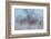 Frosty Awakening-Doug Chinnery-Framed Photographic Print