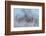 Frosty Awakening-Doug Chinnery-Framed Photographic Print