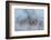 Frosty Awakening-Doug Chinnery-Framed Photographic Print