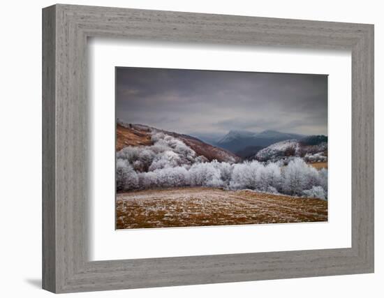 Frosty Breath-Peter Svoboda-Framed Photographic Print