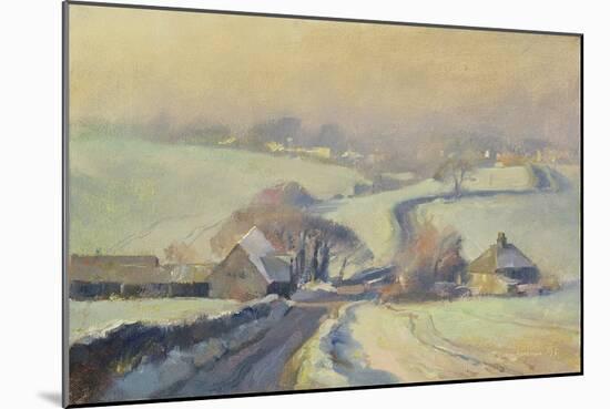 Frosty Fields, Aston, 1991-Trevor Chamberlain-Mounted Giclee Print