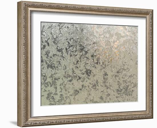 Frosty I-Eva Bane-Framed Photographic Print