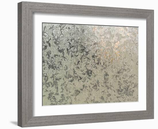 Frosty I-Eva Bane-Framed Photographic Print