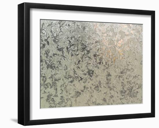 Frosty I-Eva Bane-Framed Photographic Print