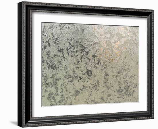 Frosty I-Eva Bane-Framed Photographic Print