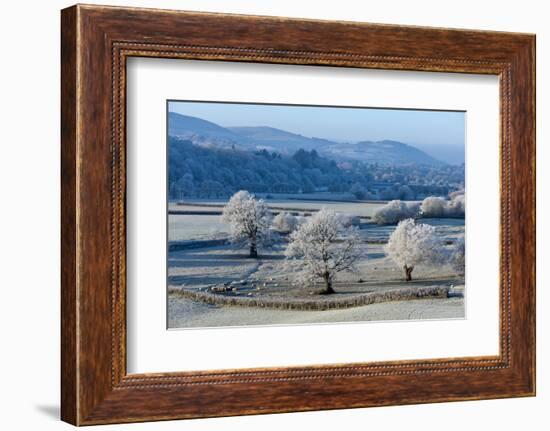 Frosty landscape, Powys, Wales, United Kingdom, Europe-Graham Lawrence-Framed Photographic Print