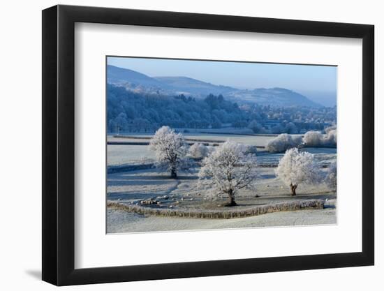Frosty landscape, Powys, Wales, United Kingdom, Europe-Graham Lawrence-Framed Photographic Print