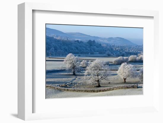 Frosty landscape, Powys, Wales, United Kingdom, Europe-Graham Lawrence-Framed Photographic Print