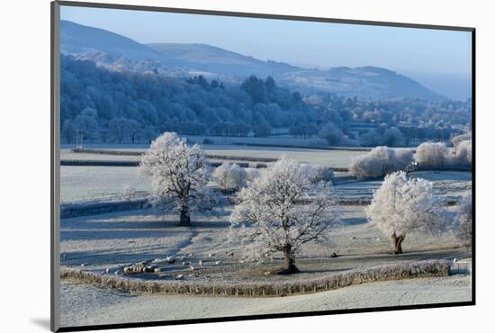 Frosty landscape, Powys, Wales, United Kingdom, Europe-Graham Lawrence-Mounted Photographic Print