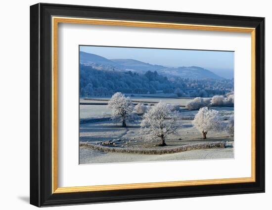 Frosty landscape, Powys, Wales, United Kingdom, Europe-Graham Lawrence-Framed Photographic Print