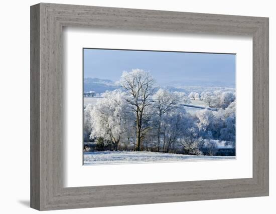 Frosty landscape, Powys, Wales, United Kingdom, Europe-Graham Lawrence-Framed Photographic Print