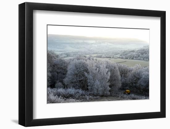 Frosty landscape, Powys, Wales, United Kingdom, Europe-Graham Lawrence-Framed Photographic Print