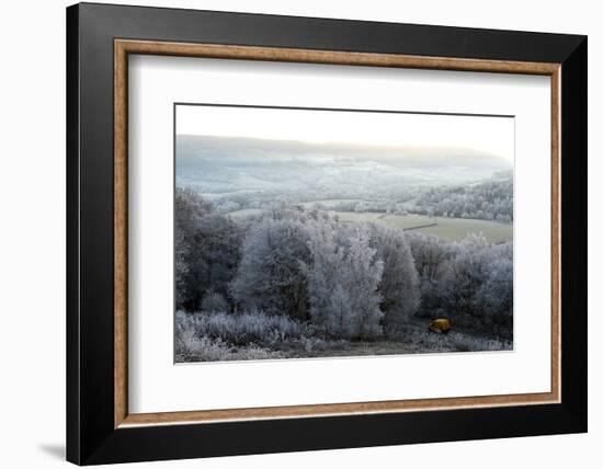 Frosty landscape, Powys, Wales, United Kingdom, Europe-Graham Lawrence-Framed Photographic Print