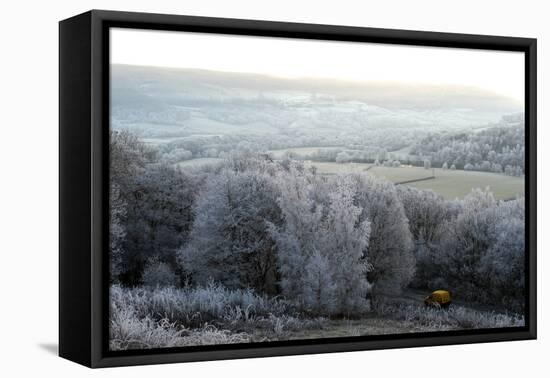 Frosty landscape, Powys, Wales, United Kingdom, Europe-Graham Lawrence-Framed Premier Image Canvas