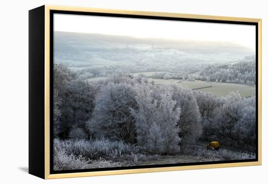 Frosty landscape, Powys, Wales, United Kingdom, Europe-Graham Lawrence-Framed Premier Image Canvas
