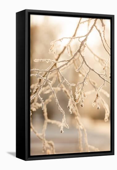 Frosty Morning 6-Mareike Böhmer-Framed Premier Image Canvas