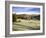 Frosty Morning at Bolton Priory Ruins (Bolton Abbey), Yorkshire Dales National Park, Yorkshire, Eng-Mark Sunderland-Framed Photographic Print