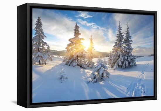 Frosty Morning in the Mountains, Panorama of Winter Mountains, Ukraine, Carpathians-Kotenko-Framed Premier Image Canvas