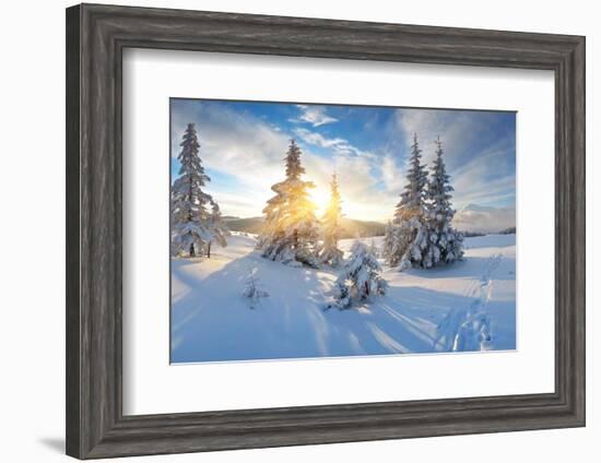 Frosty Morning in the Mountains, Panorama of Winter Mountains, Ukraine, Carpathians-Kotenko-Framed Photographic Print