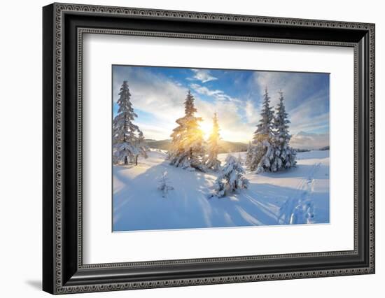 Frosty Morning in the Mountains, Panorama of Winter Mountains, Ukraine, Carpathians-Kotenko-Framed Photographic Print