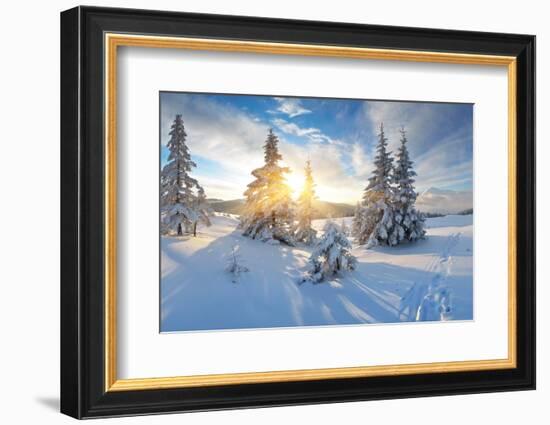 Frosty Morning in the Mountains, Panorama of Winter Mountains, Ukraine, Carpathians-Kotenko-Framed Photographic Print