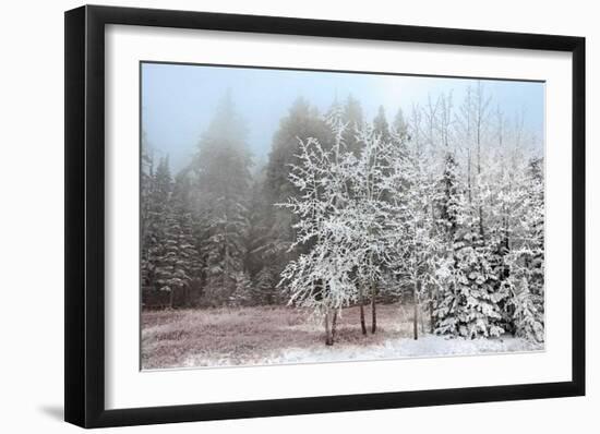 Frosty Morning-Mike Jones-Framed Giclee Print