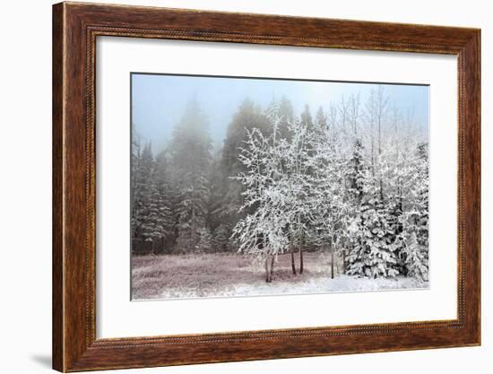 Frosty Morning-Mike Jones-Framed Giclee Print