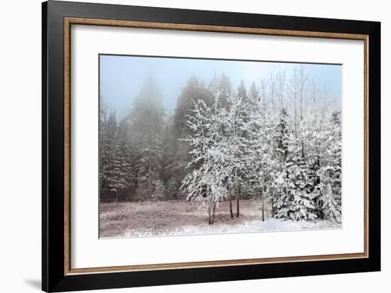Frosty Morning-Mike Jones-Framed Giclee Print